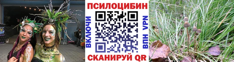 Галлюциногенные грибы MAGIC MUSHROOMS  Купить  Сухиничи 